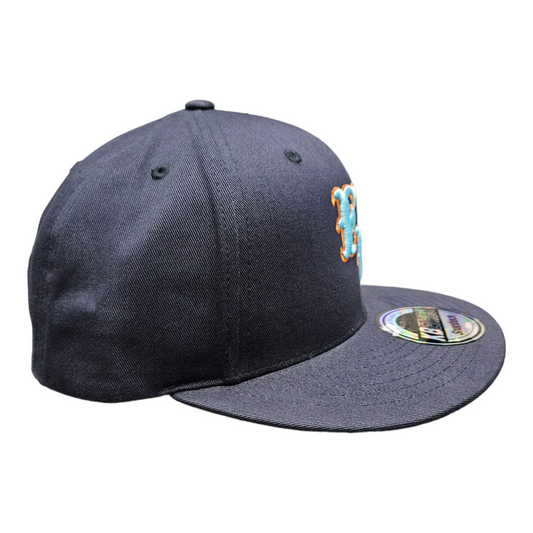 Fresh Pond "FP" Snapback