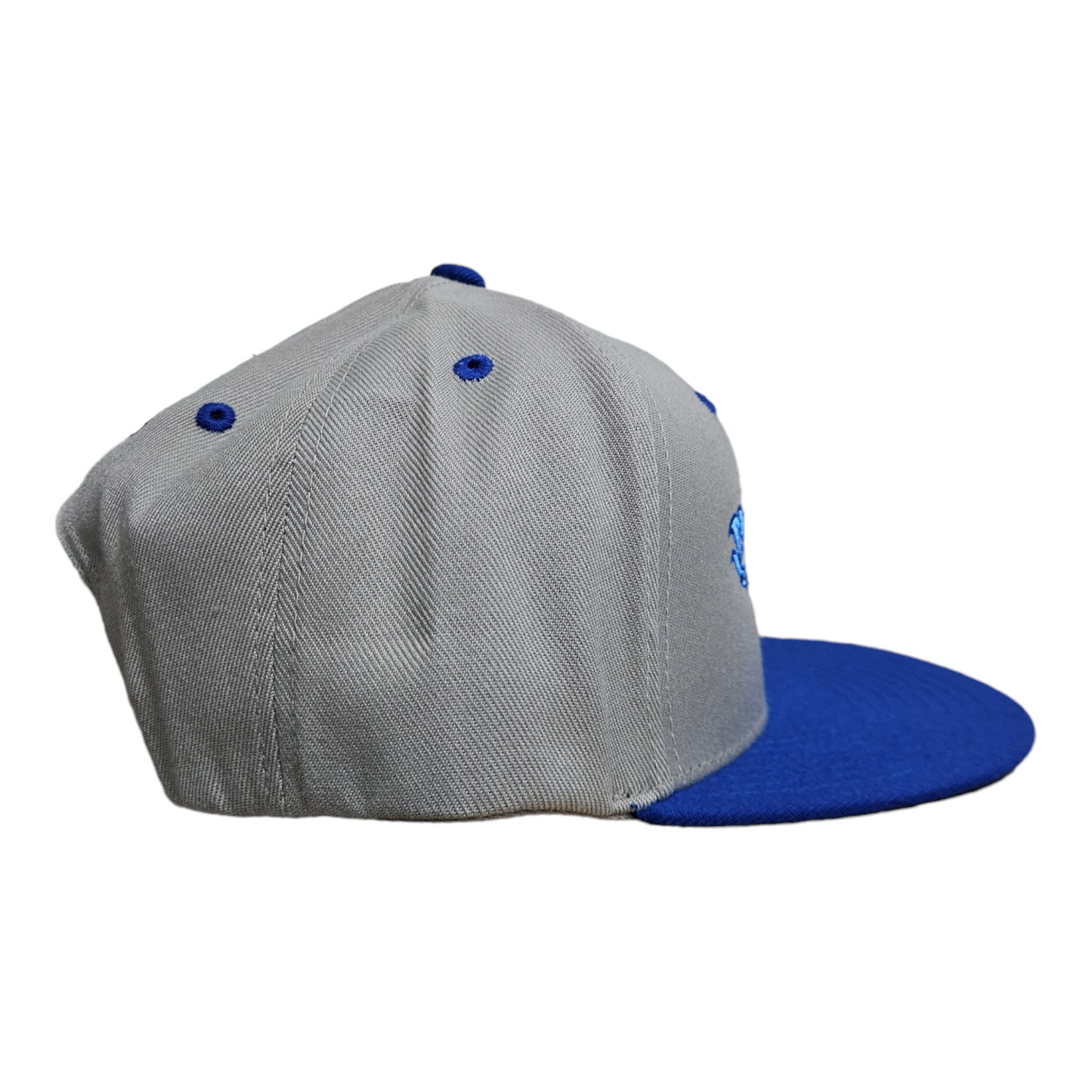 RH Blue Bird "Code Blue" 6 Panel Snapback