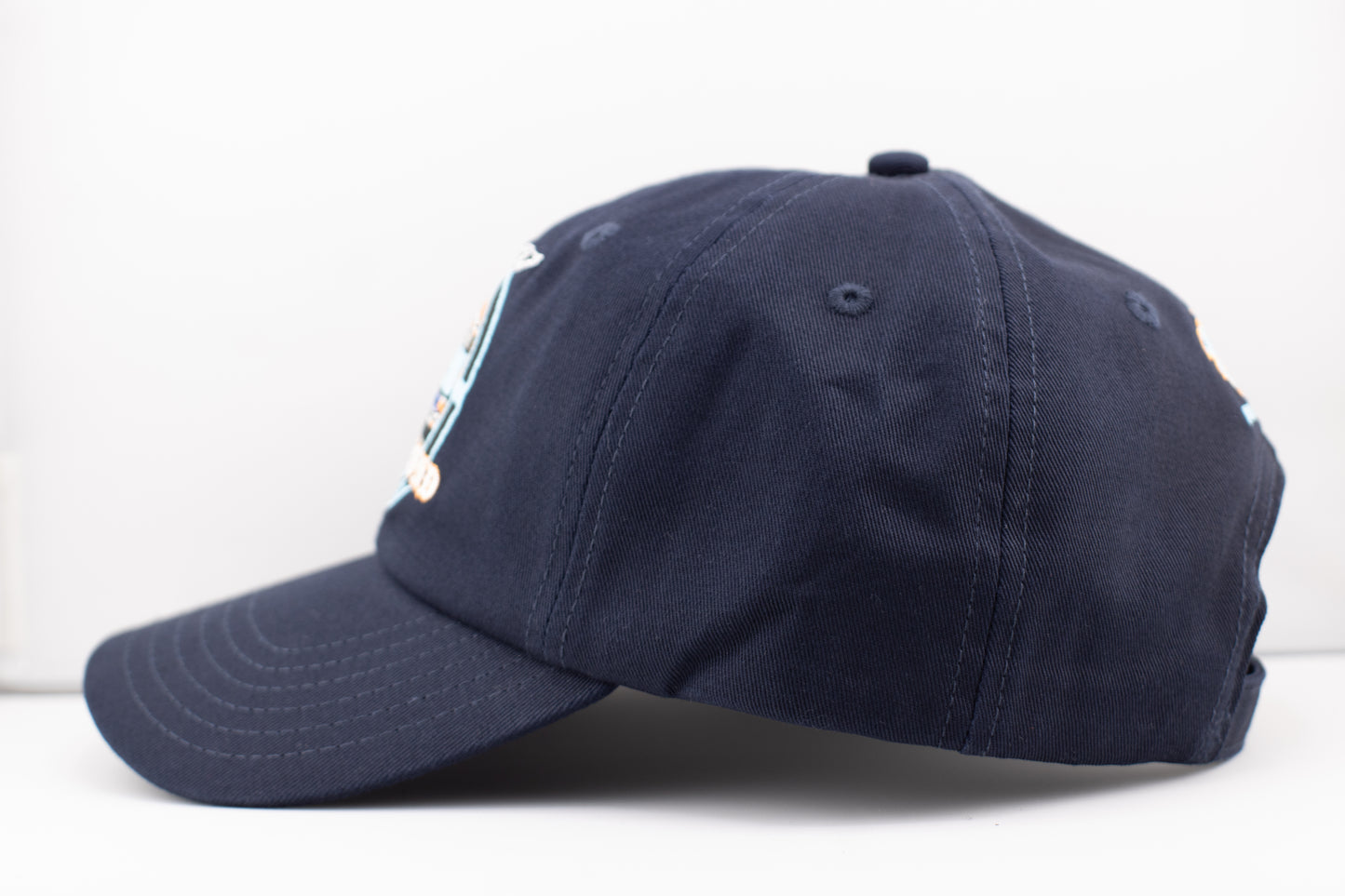 Fresh Pond Dad Hat