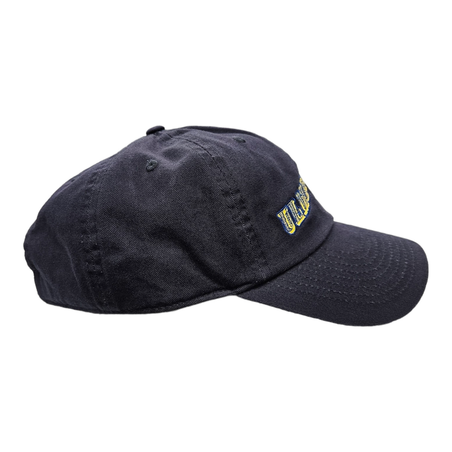 Ulmer Park Depot Dad Hat